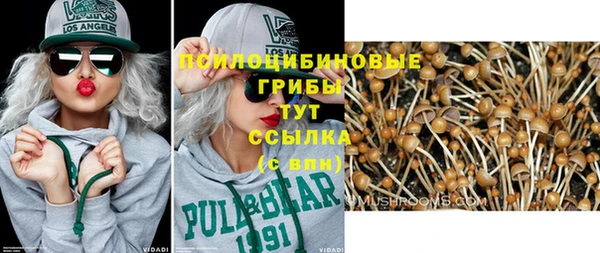 гидра Волоколамск