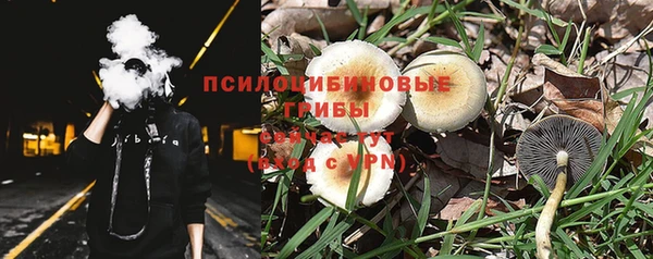 гидра Волоколамск