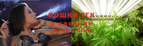 гидра Волоколамск