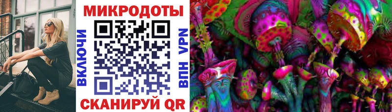 закладки  Любим  Галлюциногенные грибы ЛСД 